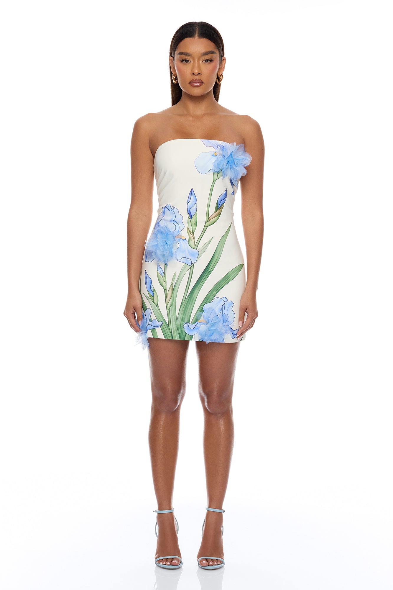 Floral Fantasy 3D Floral Mini Dress - Blue/combo