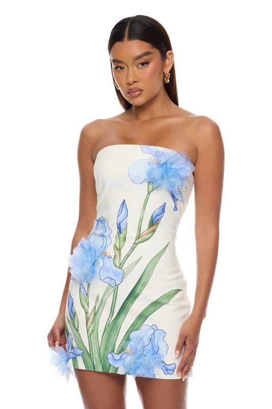 Floral Fantasy 3D Floral Mini Dress - Blue/combo