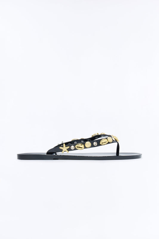 Odella Seashell Jelly Flip Flops - Black