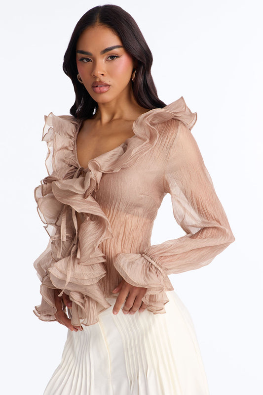 Frame The Moment Ruffle Organza Blouse - Mocha